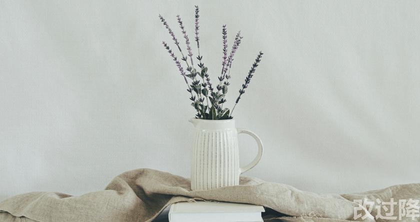 改过降论文查重,改过降论文改重,改过降论文降重