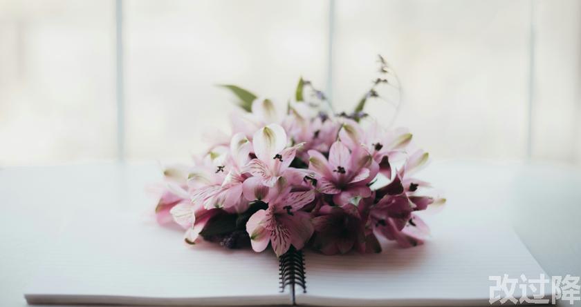 改过降论文查重，改过降论文改重，改过降论文降重